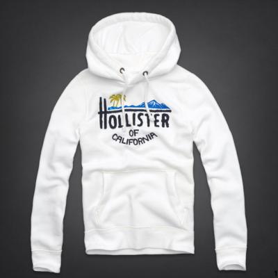 Hollister Men Hoodies-51